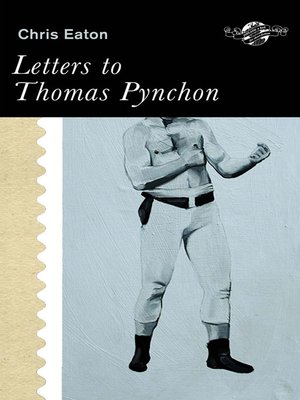 cover image of Letters to Thomas Pynchon and other stories